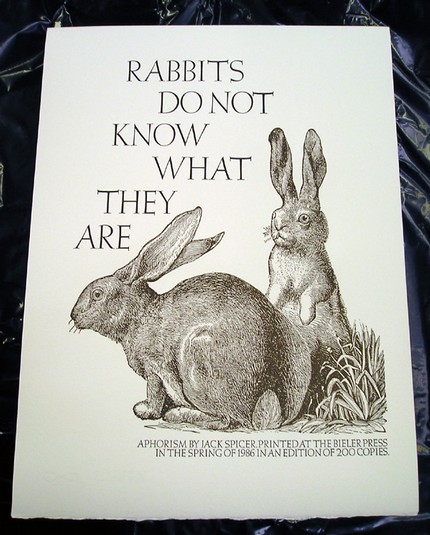 Rabbits do not know…