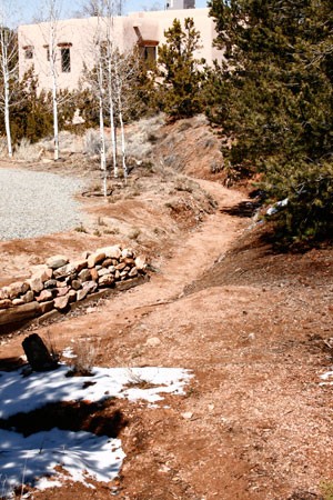 The arroyo in front of my house