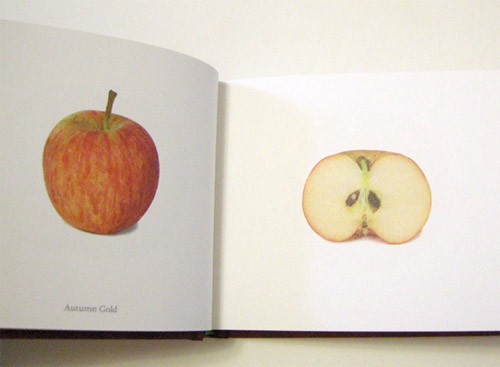 Apples I Have Eaten by Jonathan Gerken