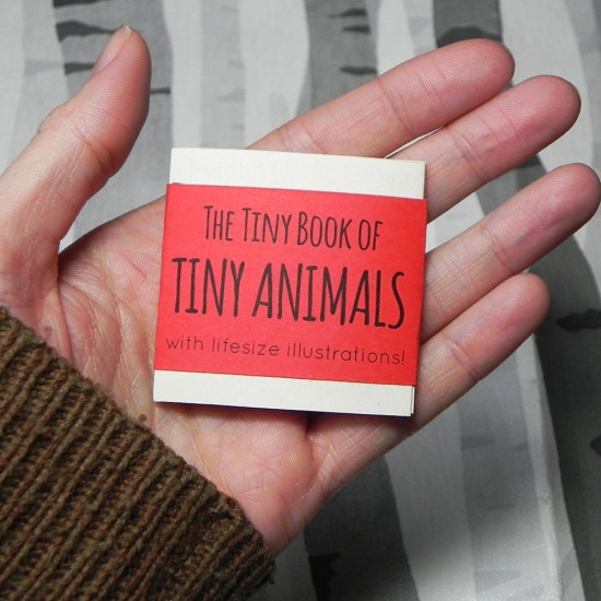 Lindsey Green's The Tiny Book of Tiny Animals